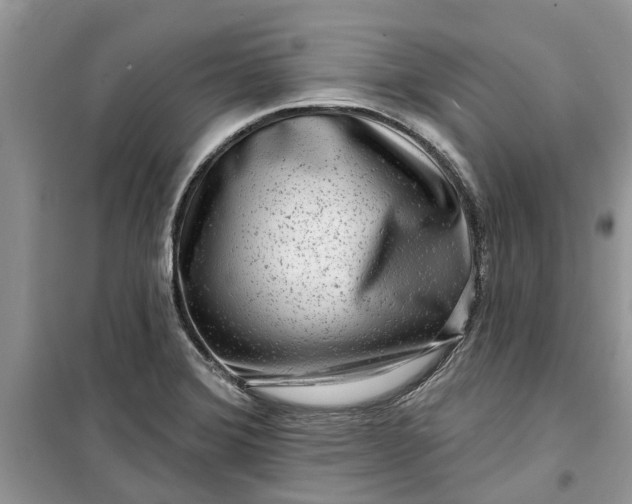 X0000099501372200805291119