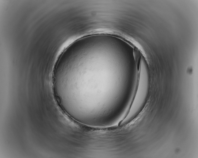 X0000099501373200805291119