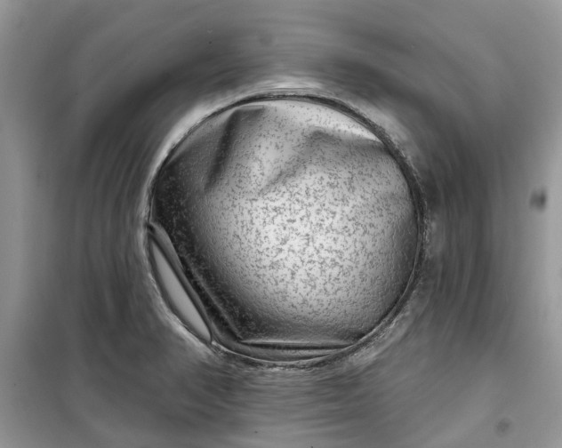 X0000099501374200805291119