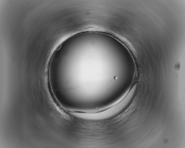 X0000099501375200805291119