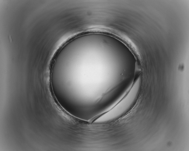 X0000099501376200805291119