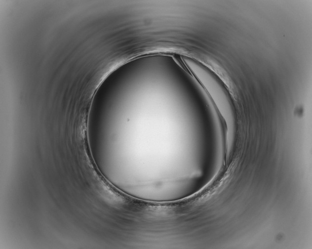 X0000099501377200805291119