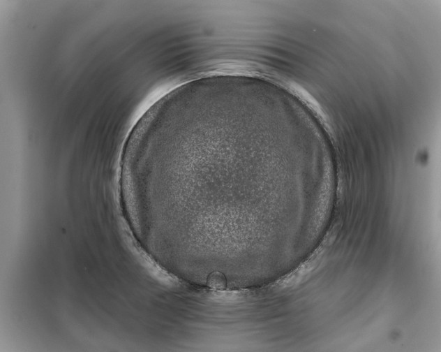 X0000099501378200805291119