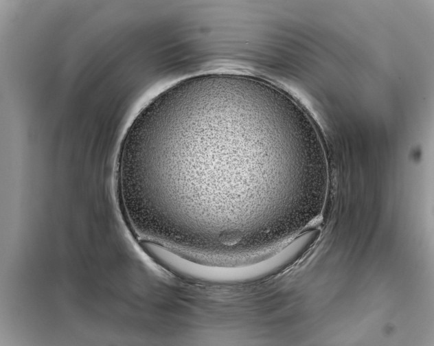 X0000099501379200805291119