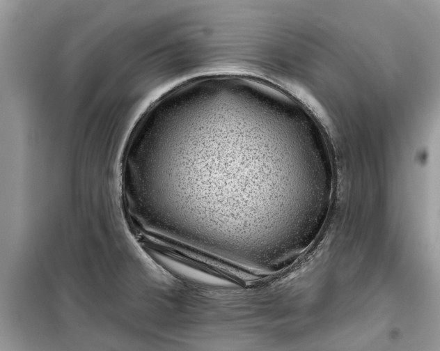 X0000099501380200805291119