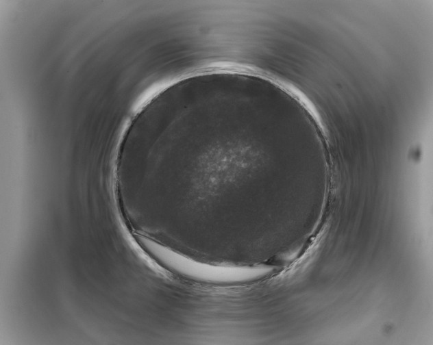 X0000099501381200805291119