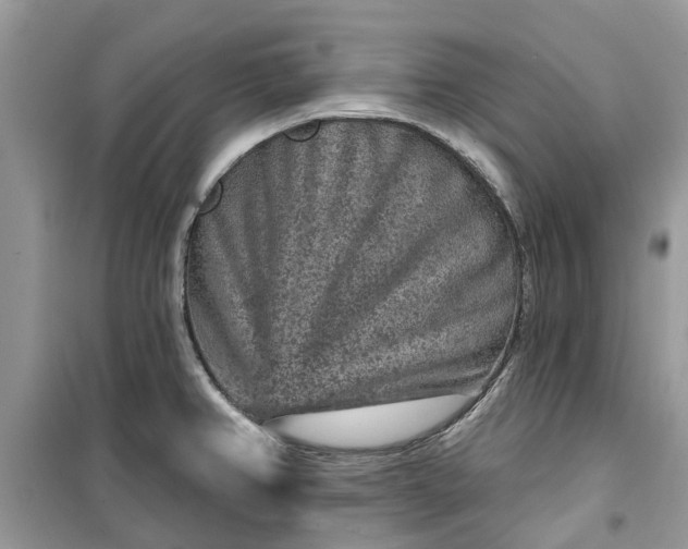 X0000099501382200805291119