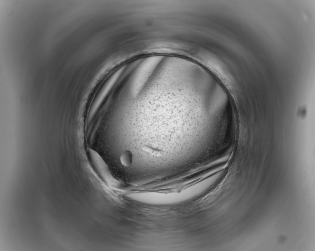 X0000099501384200805291118