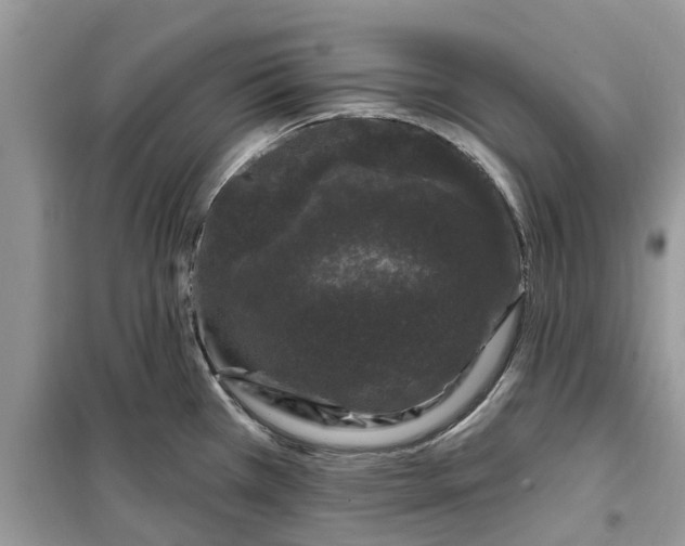 X0000099501385200805291118