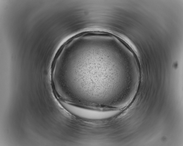 X0000099501388200805291118
