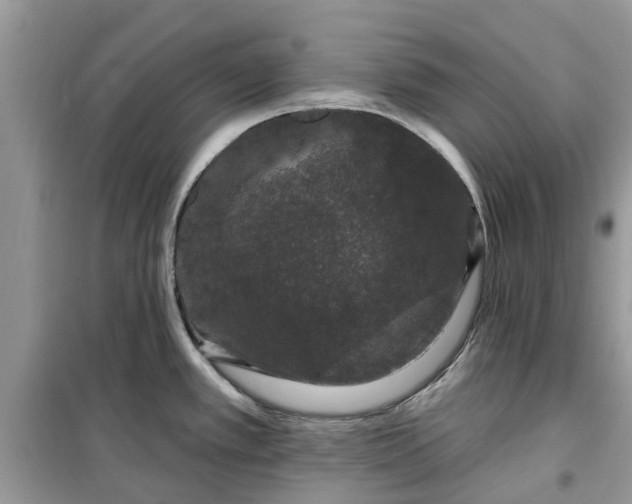 X0000099501389200805291118