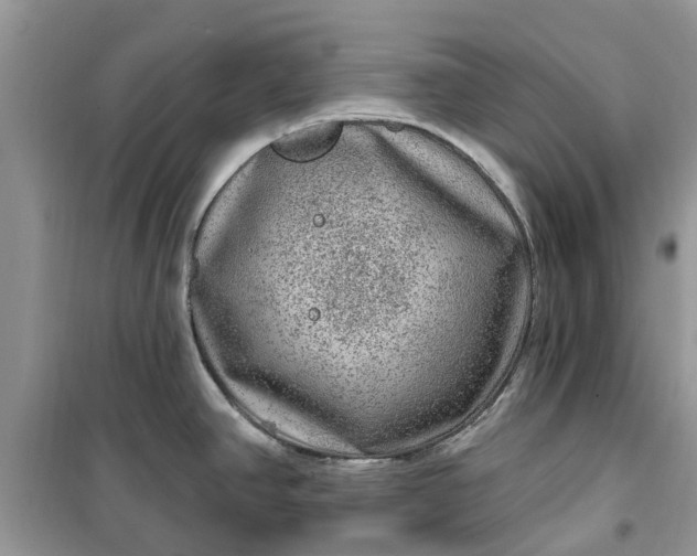 X0000099501390200805291118