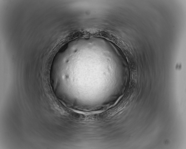 X0000099501393200805291118
