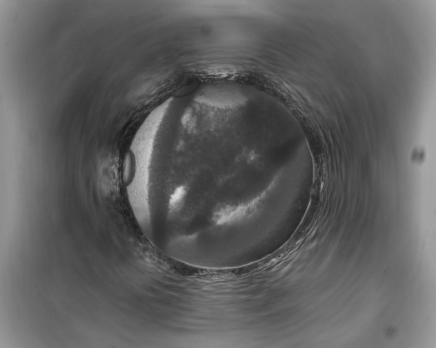 X0000099501394200805291118