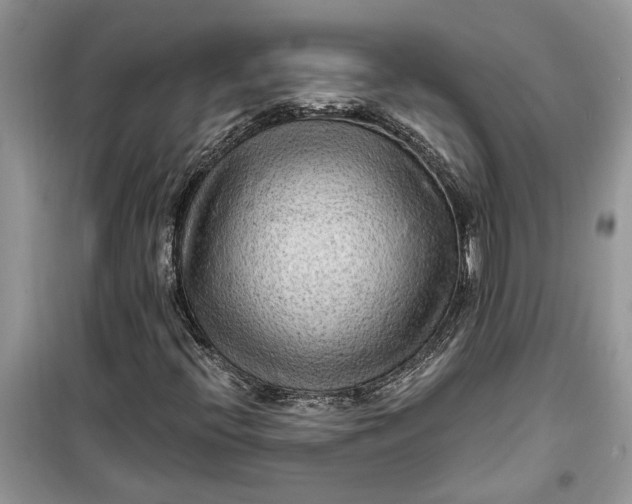 X0000099501396200805291118