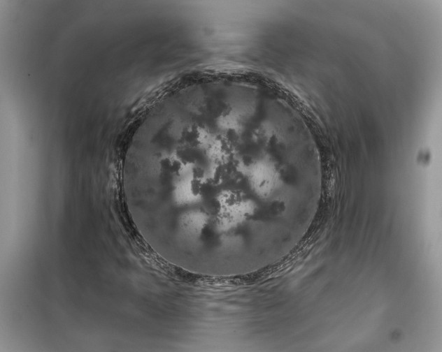 X0000099501397200805291118