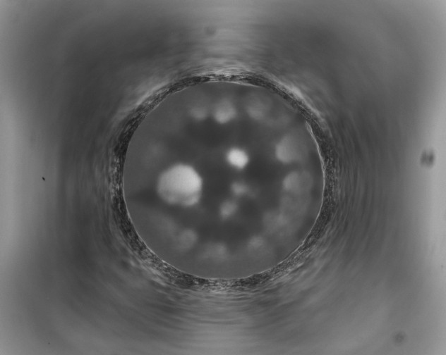 X0000099501399200805291118