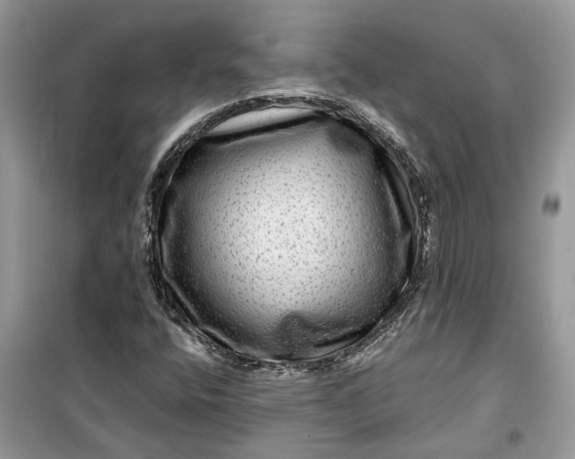 X0000099501400200805291118