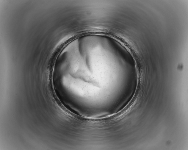X0000099501402200805291118