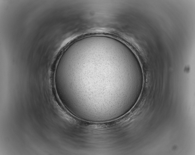 X0000099501404200805291118