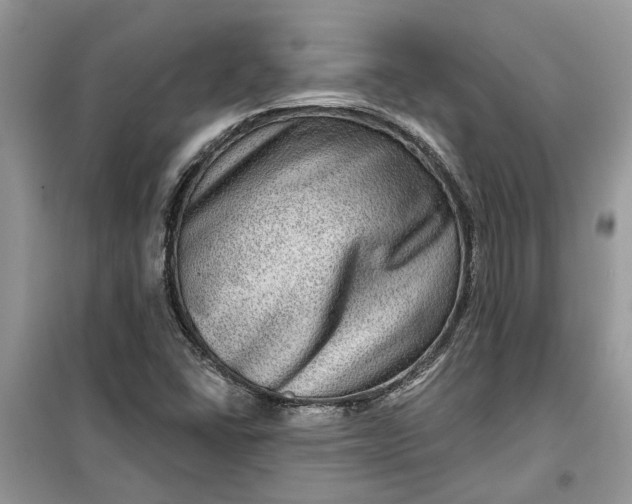 X0000099501406200805291118