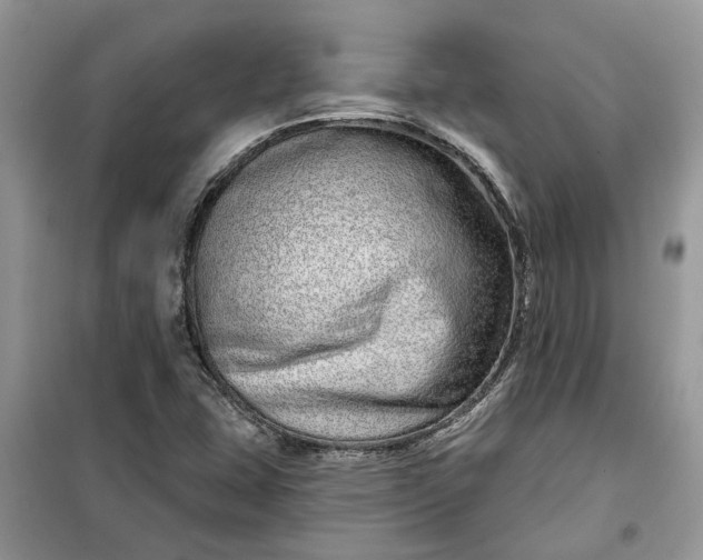 X0000099501407200805291118