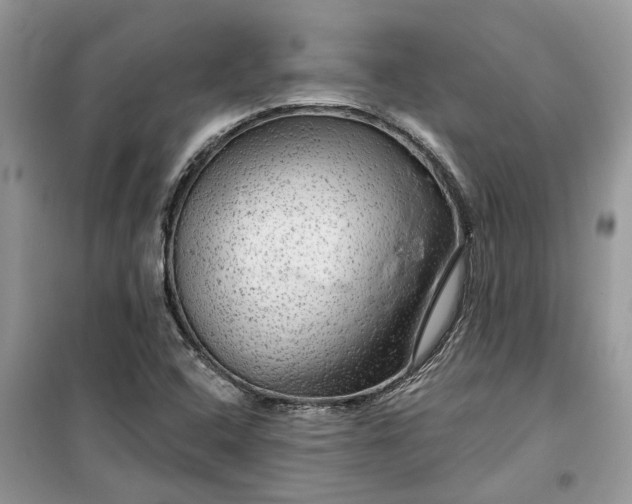 X0000099501408200805291118