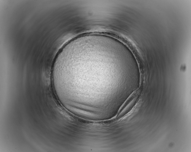 X0000099501409200805291118