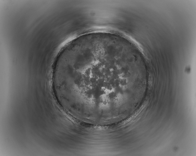 X0000099501411200805291118