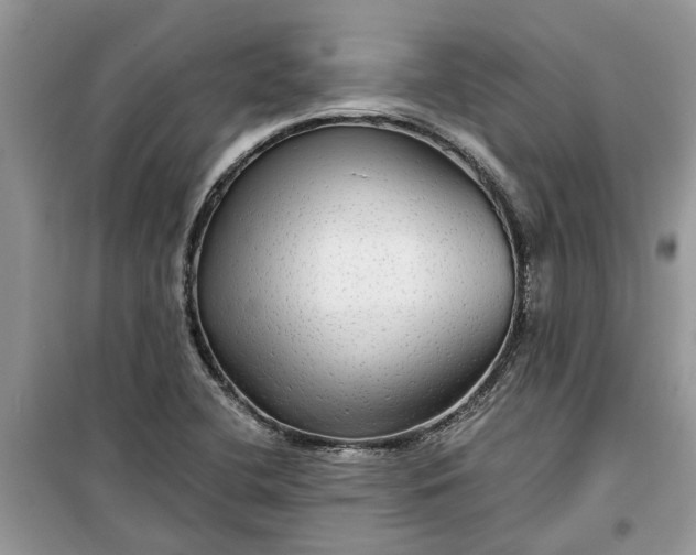 X0000099501412200805291118