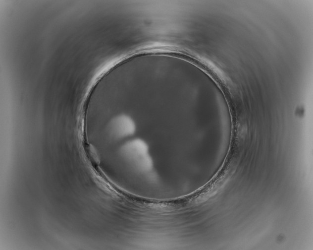X0000099501413200805291118