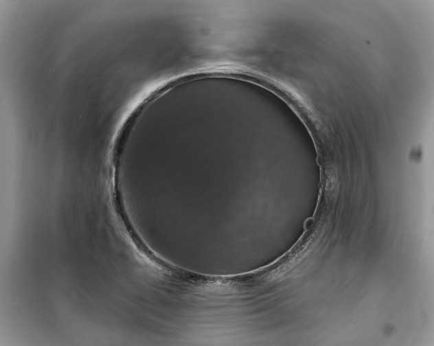 X0000099501414200805291118