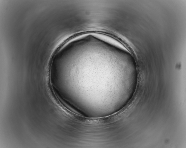X0000099501415200805291118