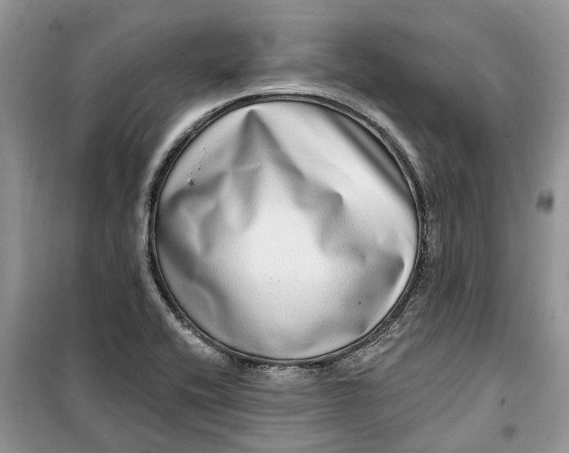X0000099501416200805291118