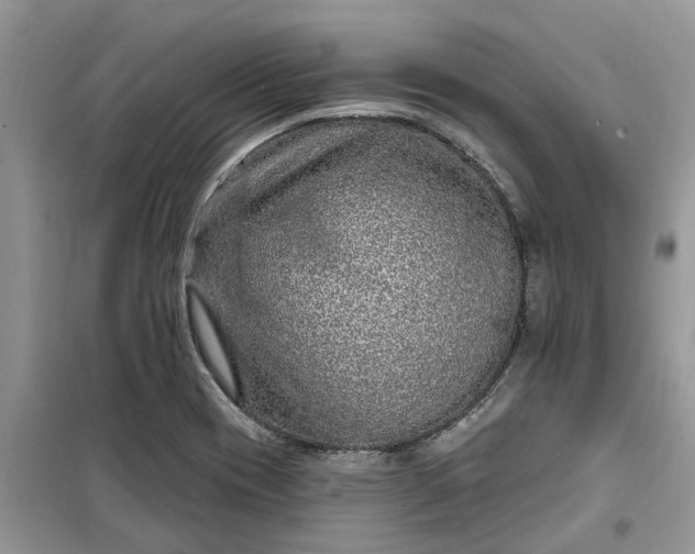 X0000099501417200805291118