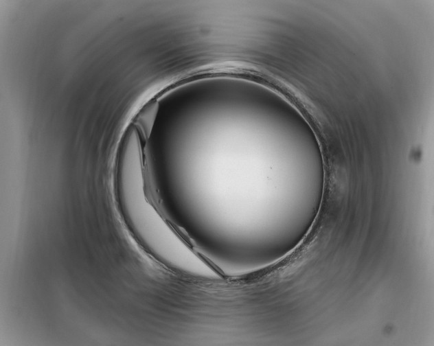 X0000099501418200805291118
