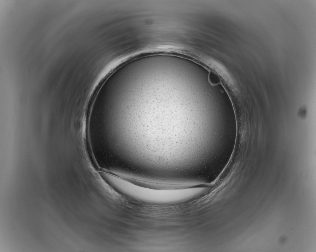 X0000099501420200805291118
