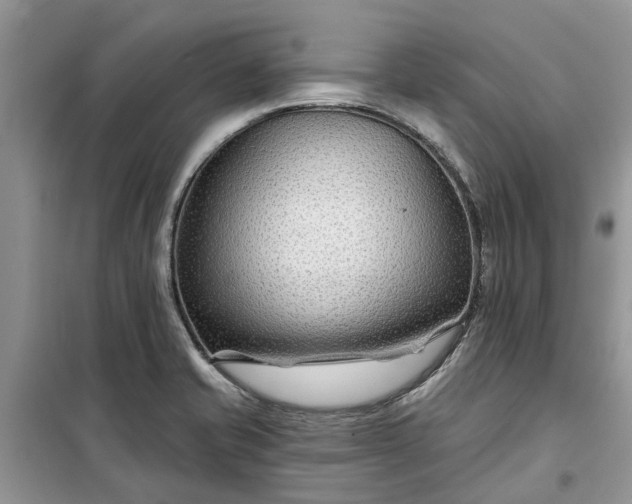 X0000099501421200805291118