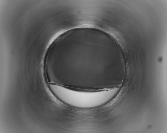 X0000099501422200805291118