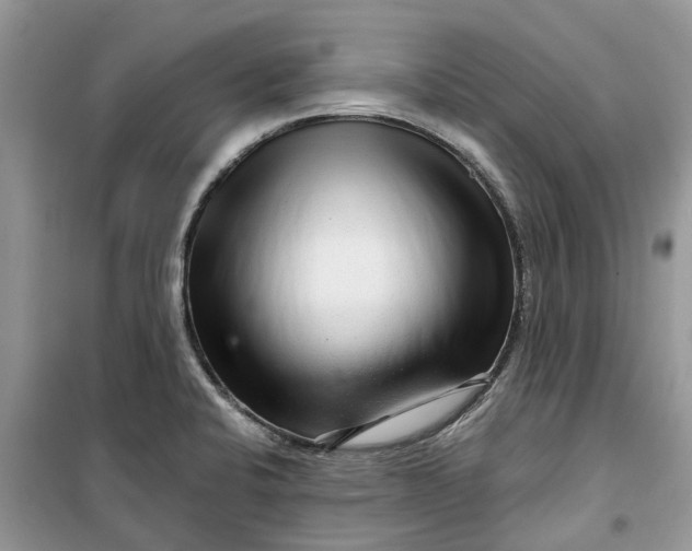 X0000099501424200805291118