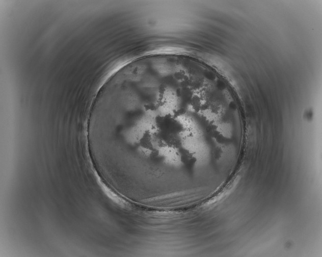 X0000099501425200805291118