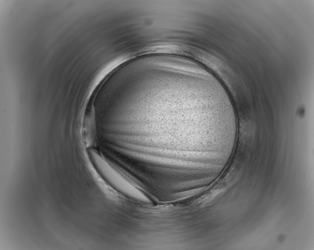 X0000099501426200805291118