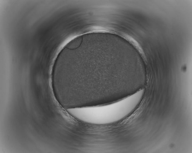 X0000099501427200805291118
