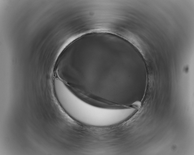X0000099501428200805291118