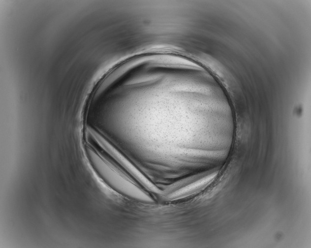 X0000099501430200805291118