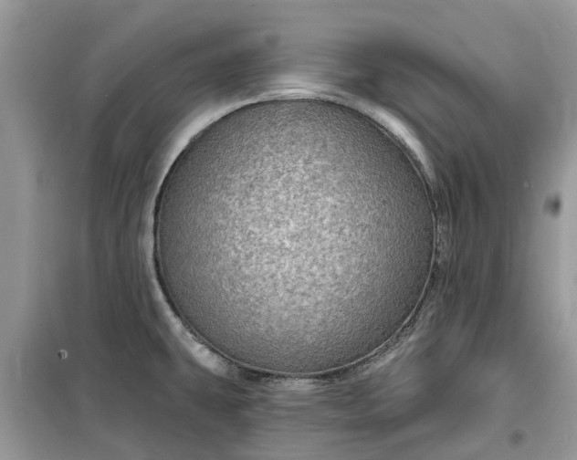 X0000099501431200805291118