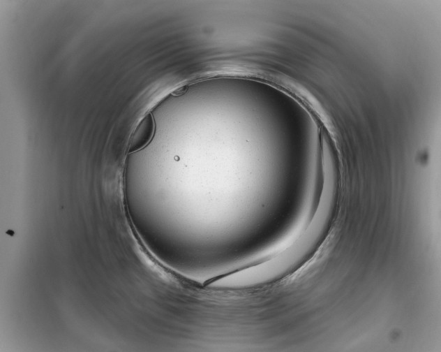 X0000099501433200805291118