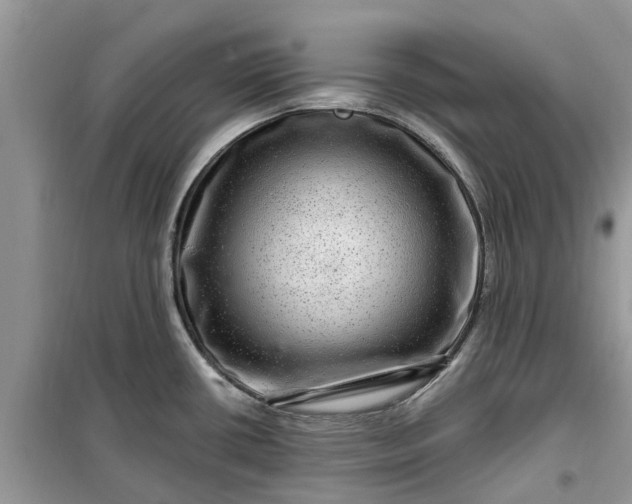 X0000099501434200805291118