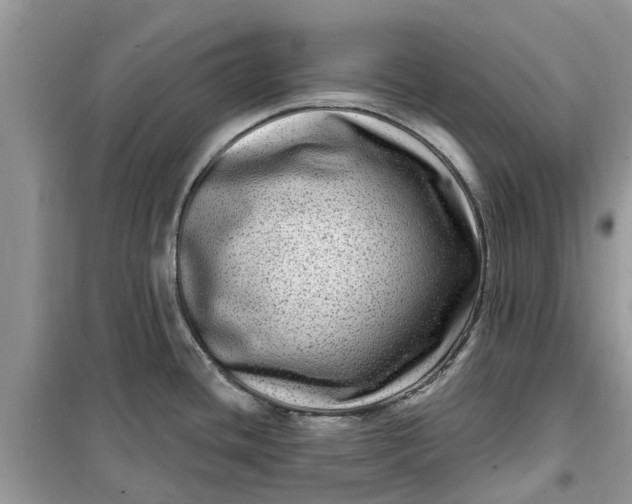 X0000099501436200805291118