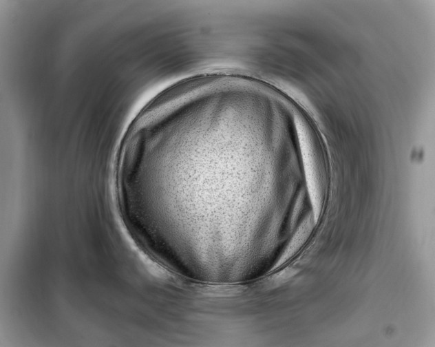 X0000099501440200805291118